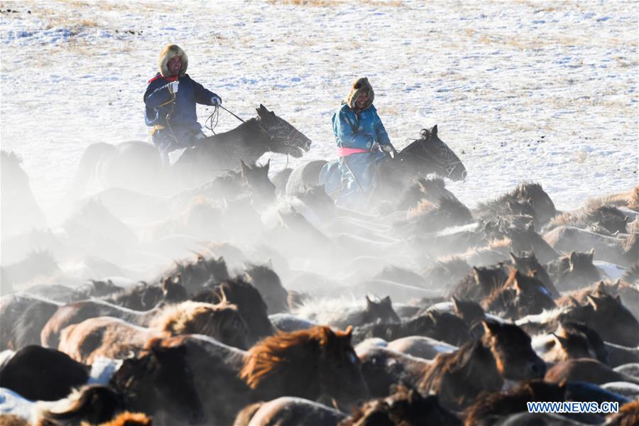 Des gardiens de troupeaux dressent des chevaux dans le nord de la Chine