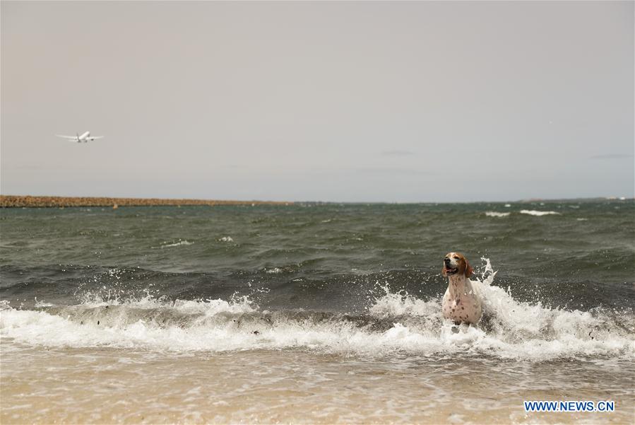 Australie : qualité de l'air à Sydney