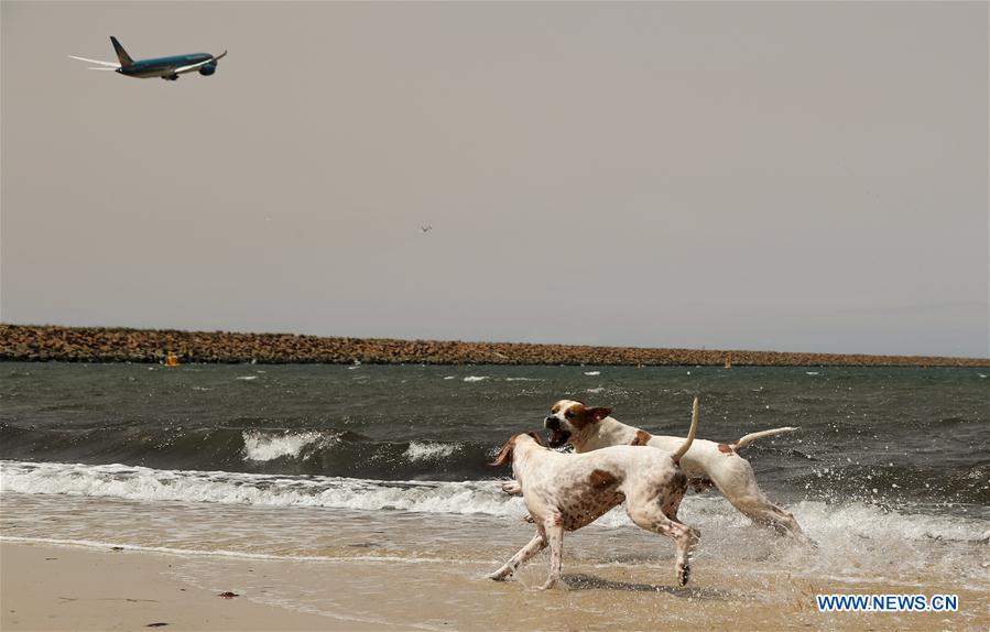 Australie : qualité de l'air à Sydney