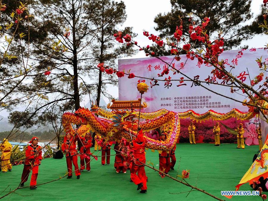 Chine : Festival des fleurs de pêcher au Guangxi 