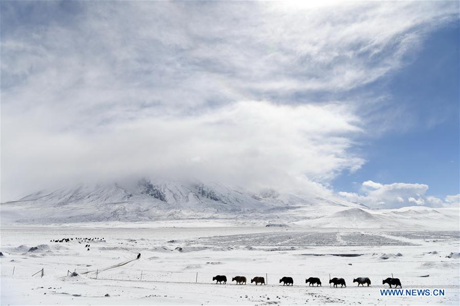 Chine : plateau du Pamir au Xinjiang