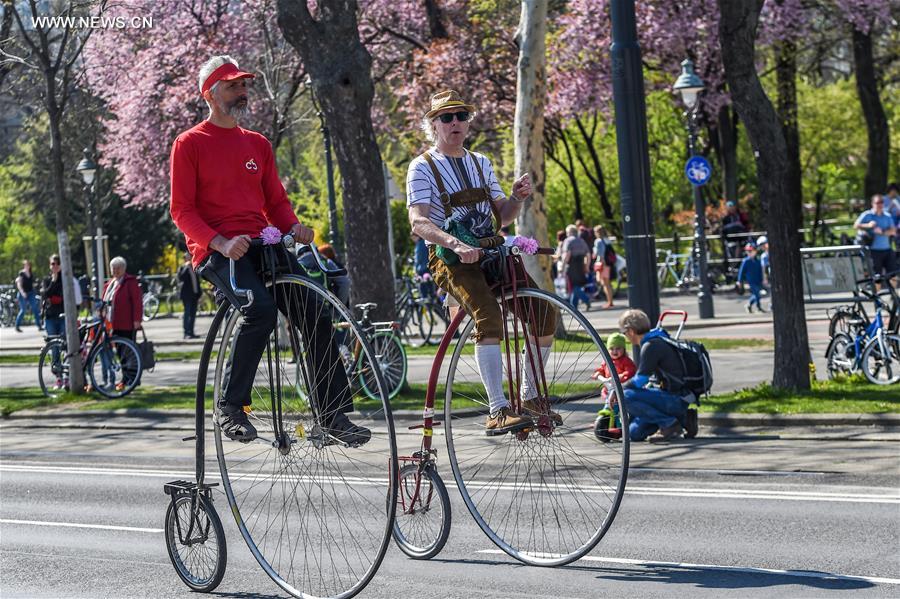 Vienne : carnaval à vélo