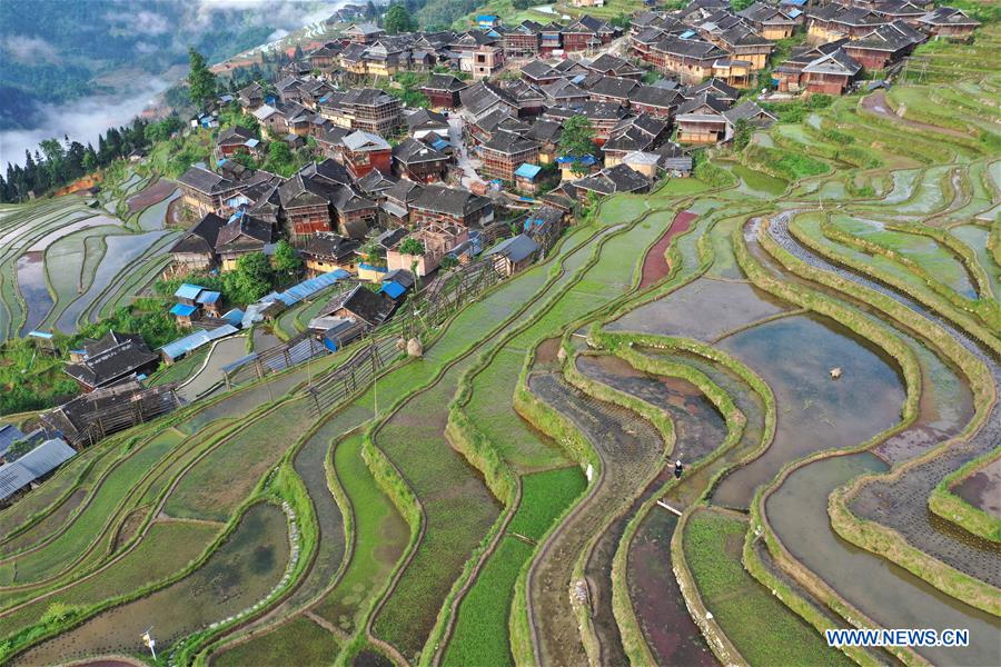 Chine : cultures en terrasses au Guizhou