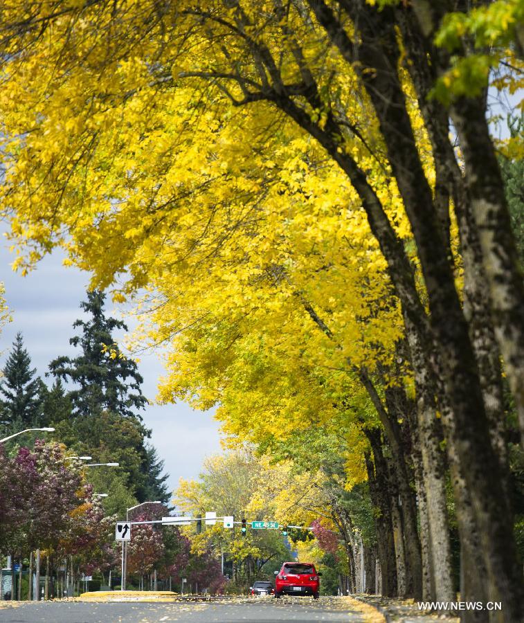 U.S.-SEATTLE-MICROSOFT