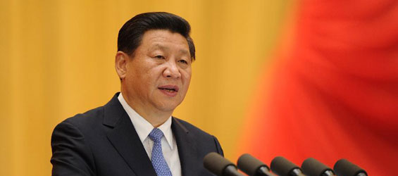 Xi Jinping met en avant l'importance de la voie politique de la Chine à l'occasion de l'anniversaire de l'APN