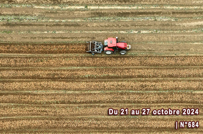 Hebdo de l'économie chinoise (N°684)