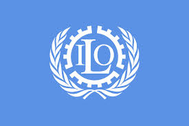 Organisation internationale du travail