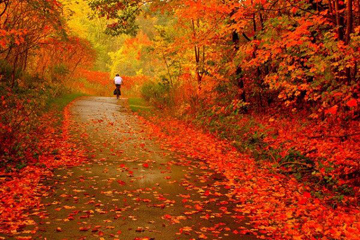 Photos: la beauté de l'automne