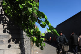 Photos: paysages au début du printemps à Beijing