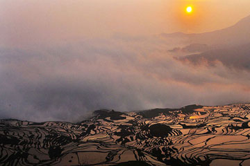 En mars, les pittoresques champs en terrasse de Yuanyang