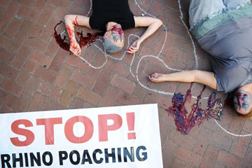 Afrique du Sud : Manifestation contre le braconnage de rhinocéros au Cap