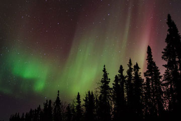 Merveilleux spectacle de la nature : aurores polaires en Alaska
