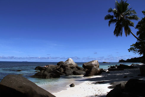 Découvrez les plages paradisiaques des Seychelles