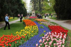 EN IMAGES: la Fête de la tulipe à Morges en Suisse