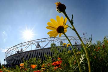 Paysages: les fleurs s'épanouissent autour du Stade Olympique de Londres