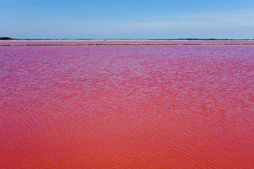 France: le lac rouge en Camargue