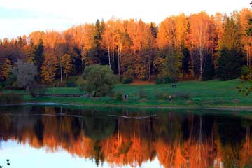Russie: beaux paysages de l'automne dans le parc Pavlovsk