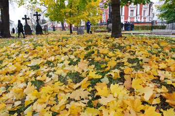 EN IMAGES: beaux paysages de l'automne à Moscou