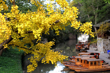 Paysage d'automne à Suzhou