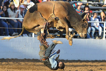 Sports: les photos de l'année 2012