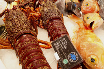 EN IMAGES: Exposition europ&eacute;enne des fruits de mer &agrave; Bruxelles