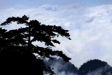 EN IMAGES: la mer de nuages des monts Huang en Chine