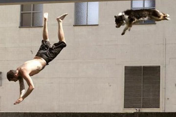 Moments hilarants dans la vie