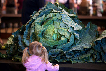 Photos: des légumes extraordinaires