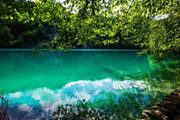 Découvrez la beauté du Parc national des lacs de Plitvice en Croatie