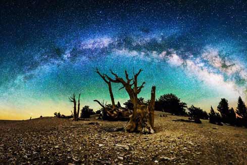 Photos - Les étoiles dans le ciel radieux