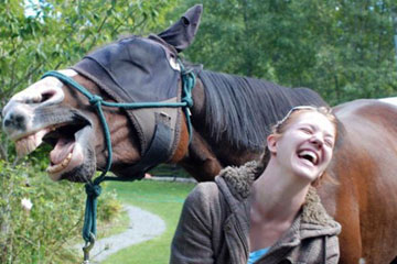 Quand les animaux se mettent au photobombing
