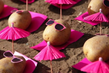 Photos drôles des petites pommes de terre