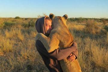 Danse avec les lions