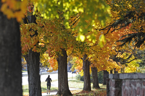 USA: beaux paysages d'automne au cimetière national d'Arlington