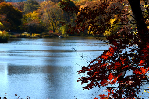 Photos - paysages d'automne dans le Central Park à New York