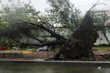 Le typhon Haiyan apporte des vents violents et des pluies torrentielles dans le sud de la Chine