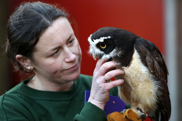 Le zoo de Londres recense ses pensionnaires