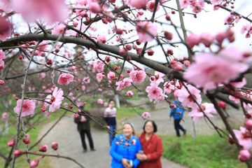 Chine: beaux paysages au début du printemps