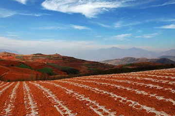 La splendeur des champs de terre rouge dans le Yunnan