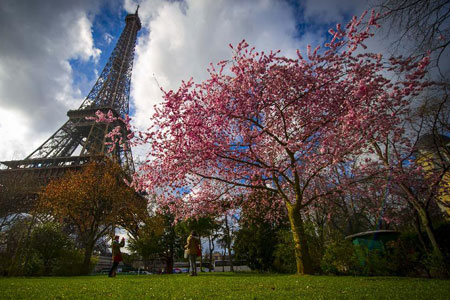 La Tour Eiffel et les fleurs au printemps