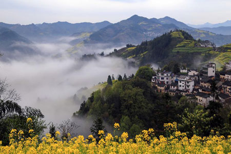 Mer de nuages à Huangshan