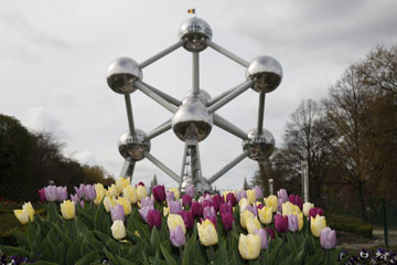 EN IMAGES: la beauté du printemps à Bruxelles