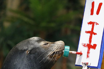 Concours de peinture et calligraphie pour enfants à l'aquarium de Beijing