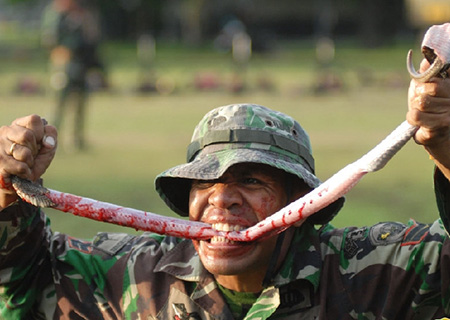 Exercice de survie bien particulier des soldats indonésiens