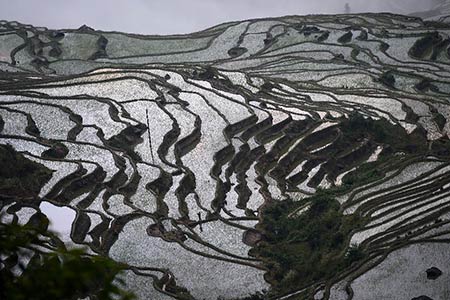 Paysage magnifique des rizières en terrasse des Hani de Honghe