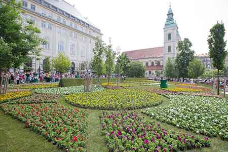 Tapis de fleurs en Hongrie