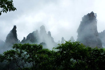 Galerie : la forêt d'Avatar de Wulingyuan sous la pluie