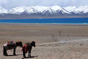 Tibet : Namtso ou le "lac céleste"