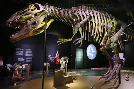 Exposition de dinosaures à Vancouver