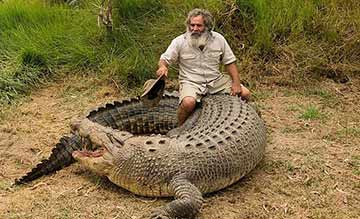 Un Australien chevauche un crocodile